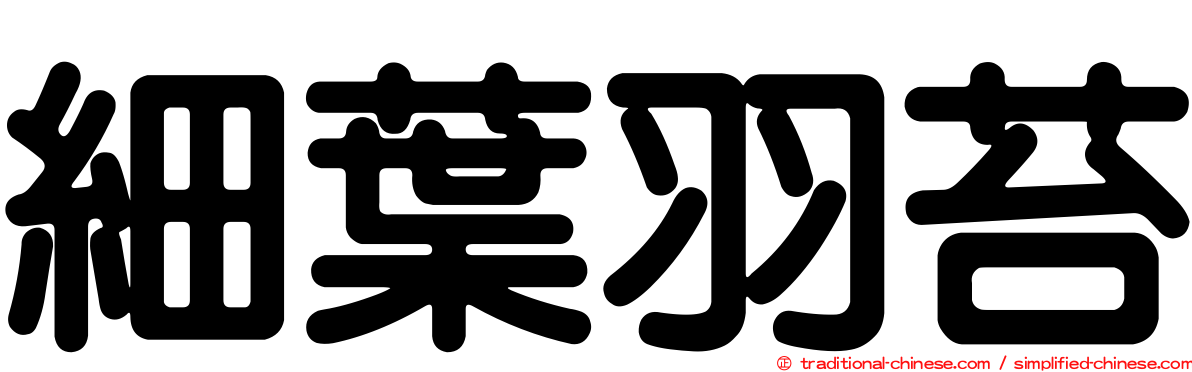 細葉羽苔