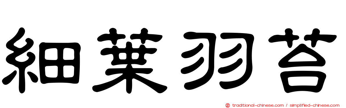 細葉羽苔