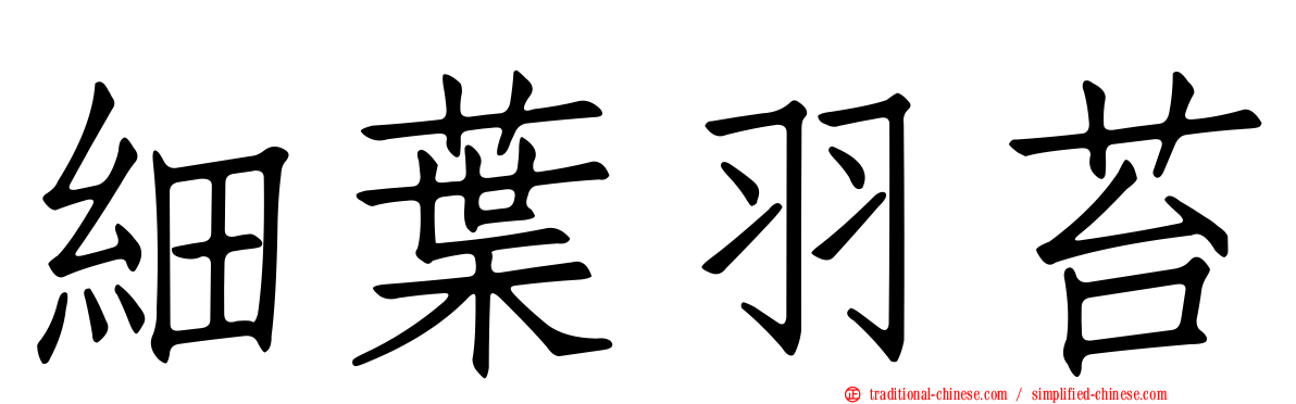 細葉羽苔