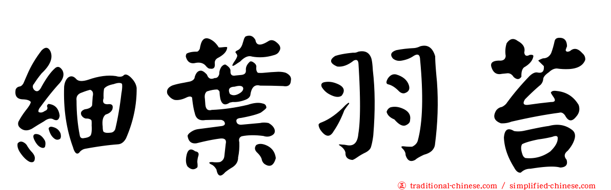 細葉羽苔
