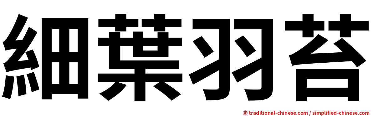 細葉羽苔