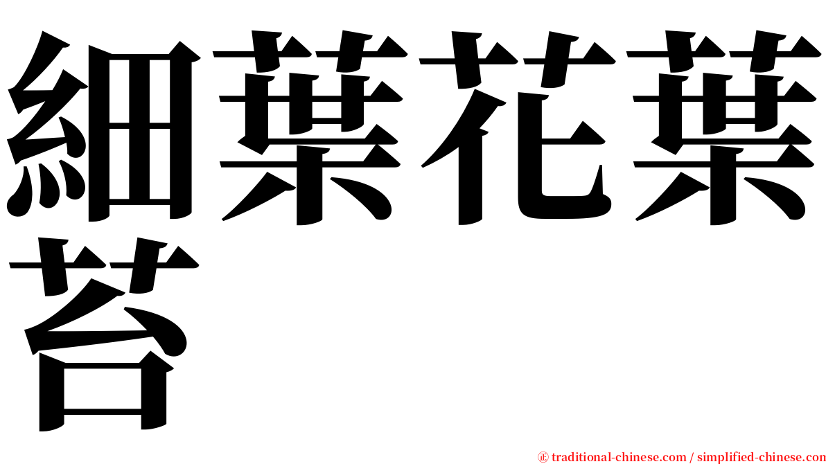細葉花葉苔 serif font