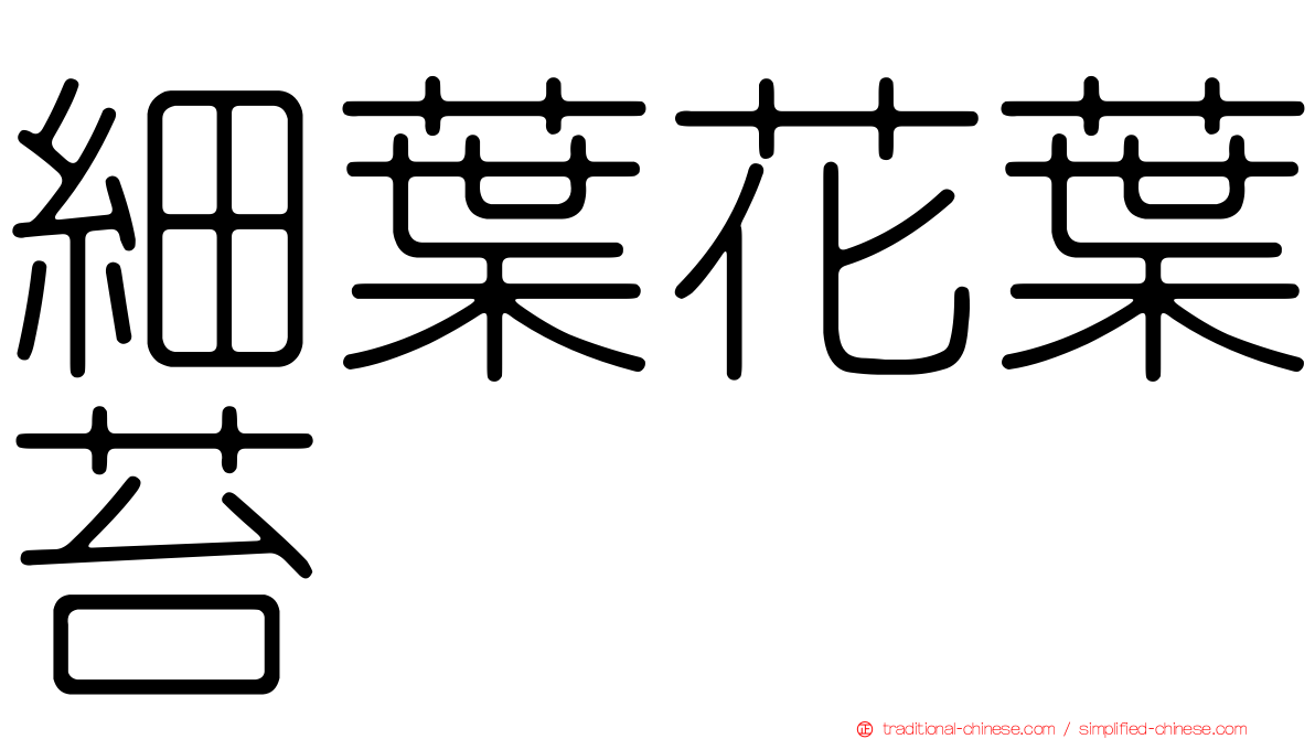 細葉花葉苔