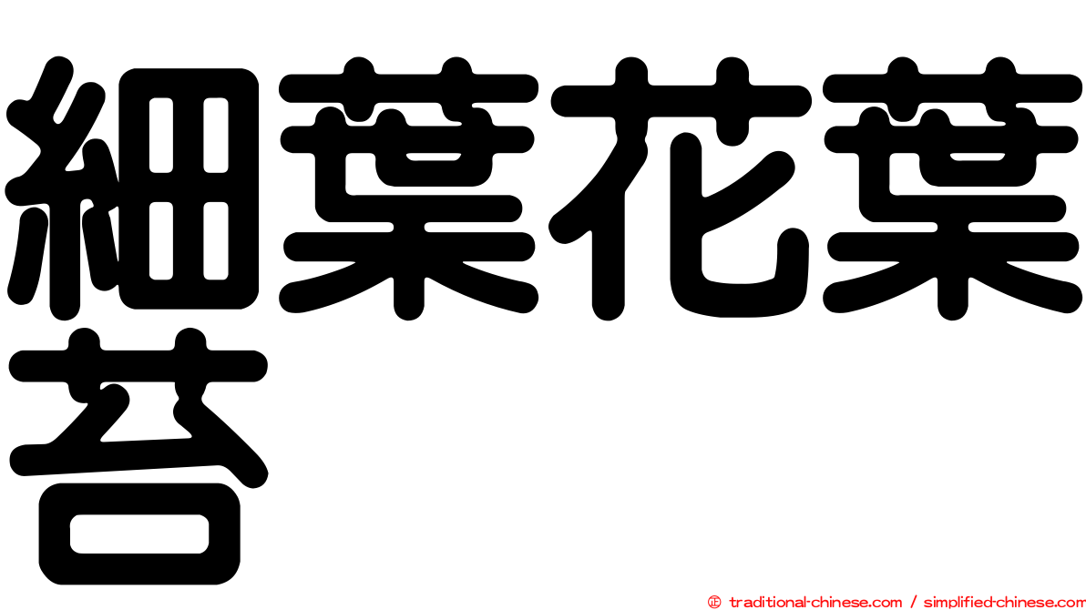 細葉花葉苔