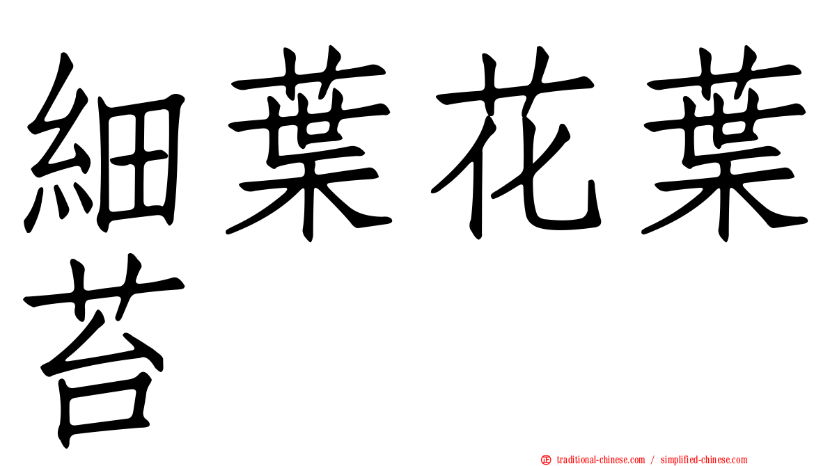 細葉花葉苔