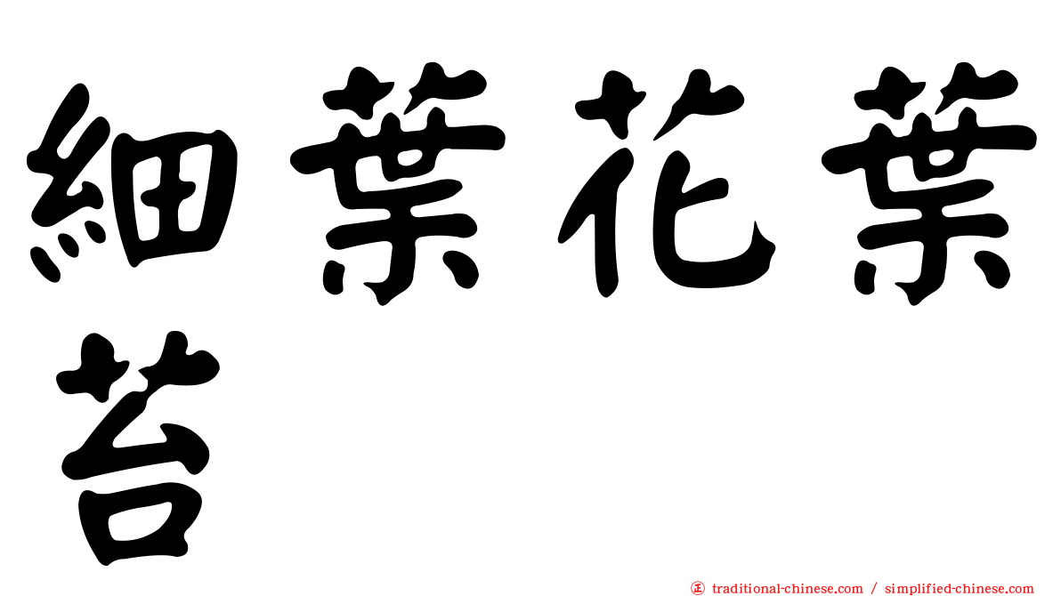 細葉花葉苔
