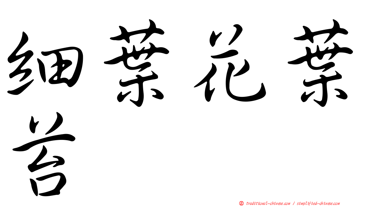 細葉花葉苔