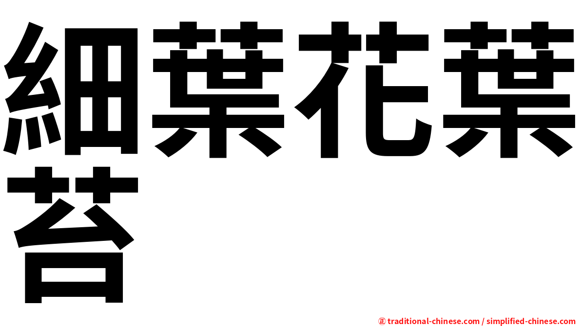 細葉花葉苔