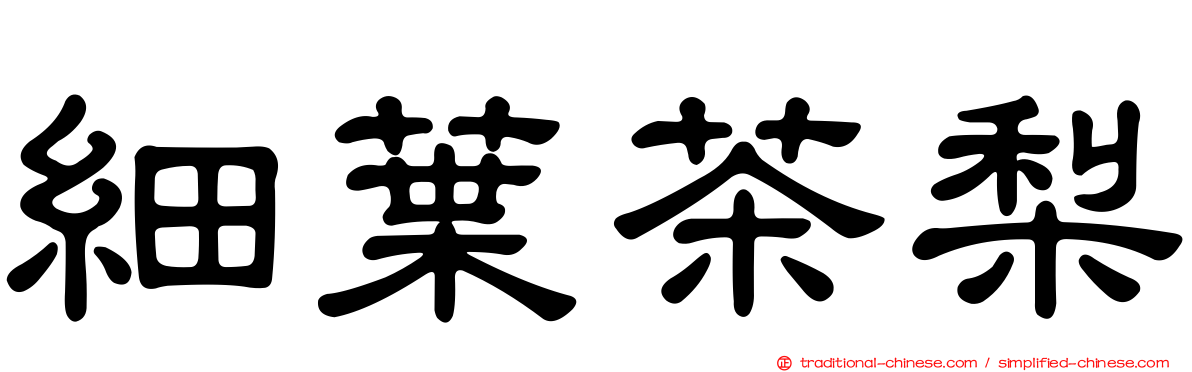 細葉茶梨