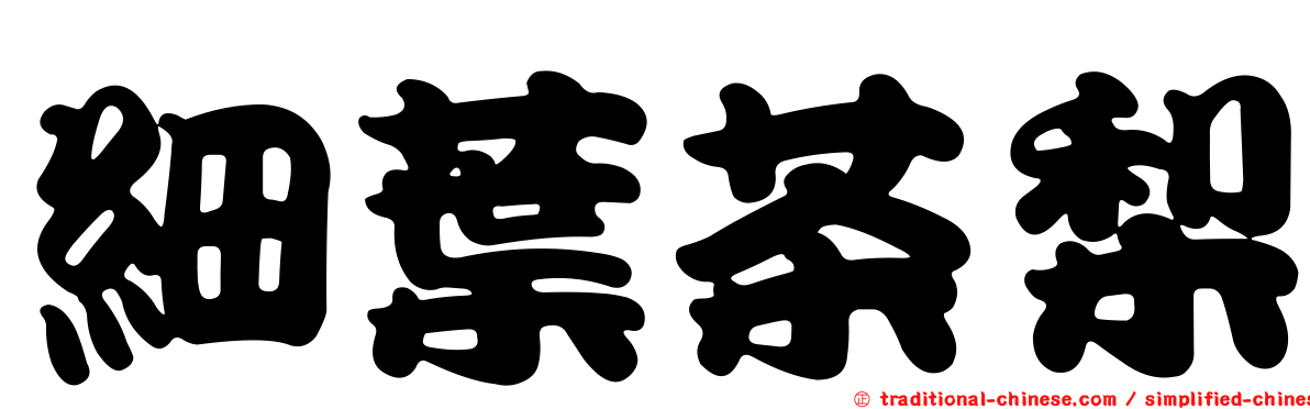細葉茶梨