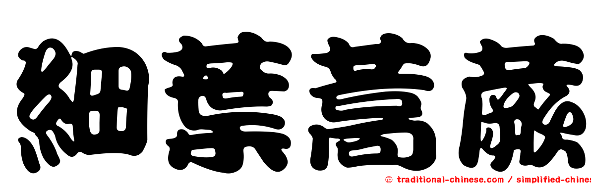 細葉蒿蕨