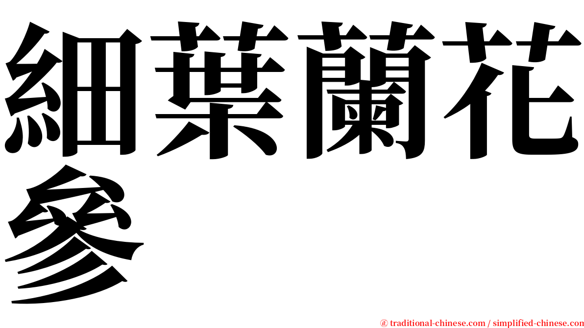 細葉蘭花參 serif font
