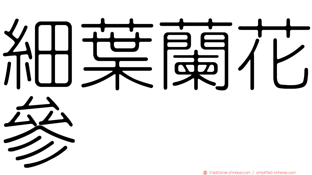 細葉蘭花參