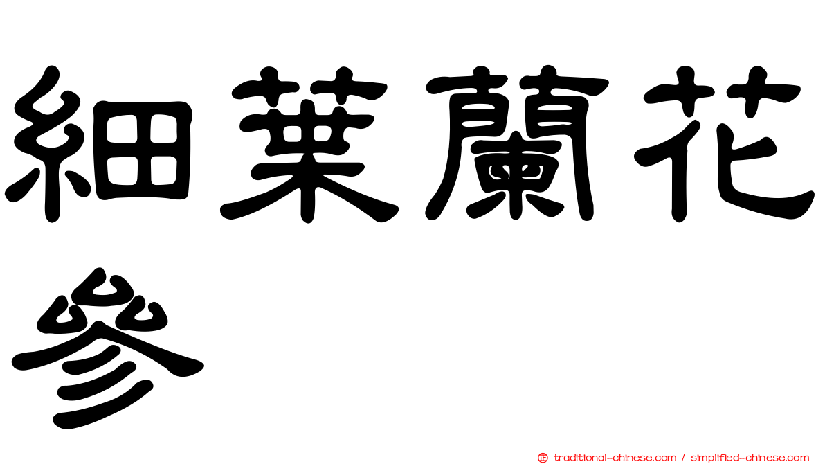 細葉蘭花參