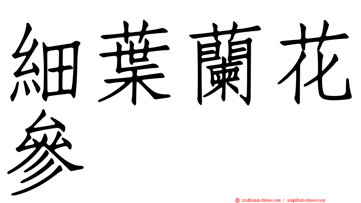 細葉蘭花參