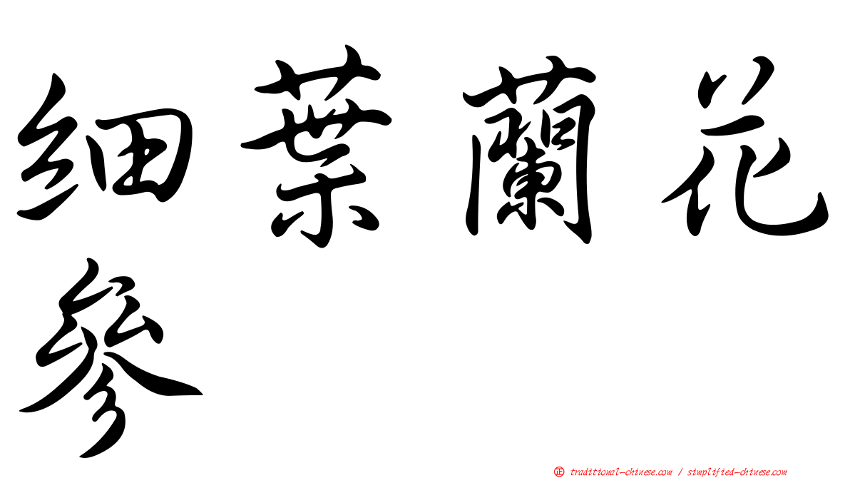細葉蘭花參