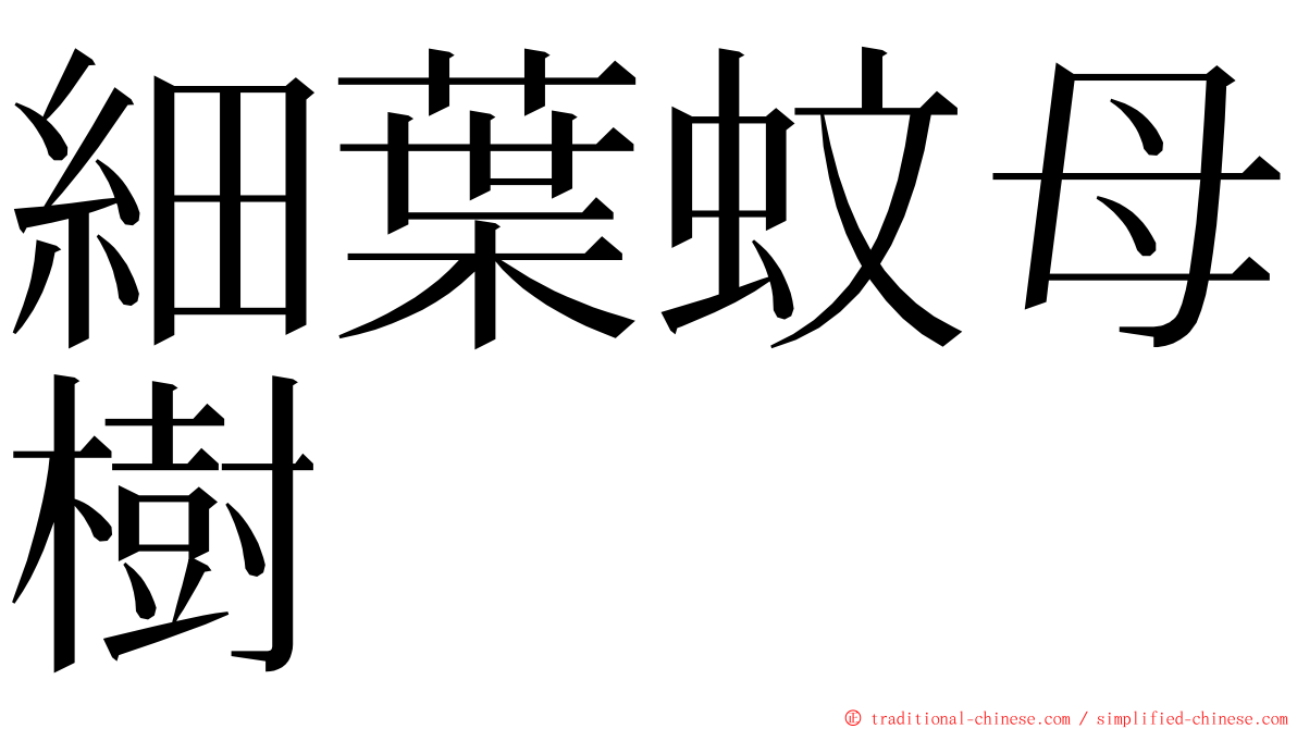 細葉蚊母樹 ming font