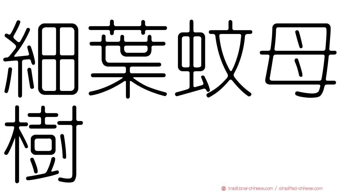 細葉蚊母樹