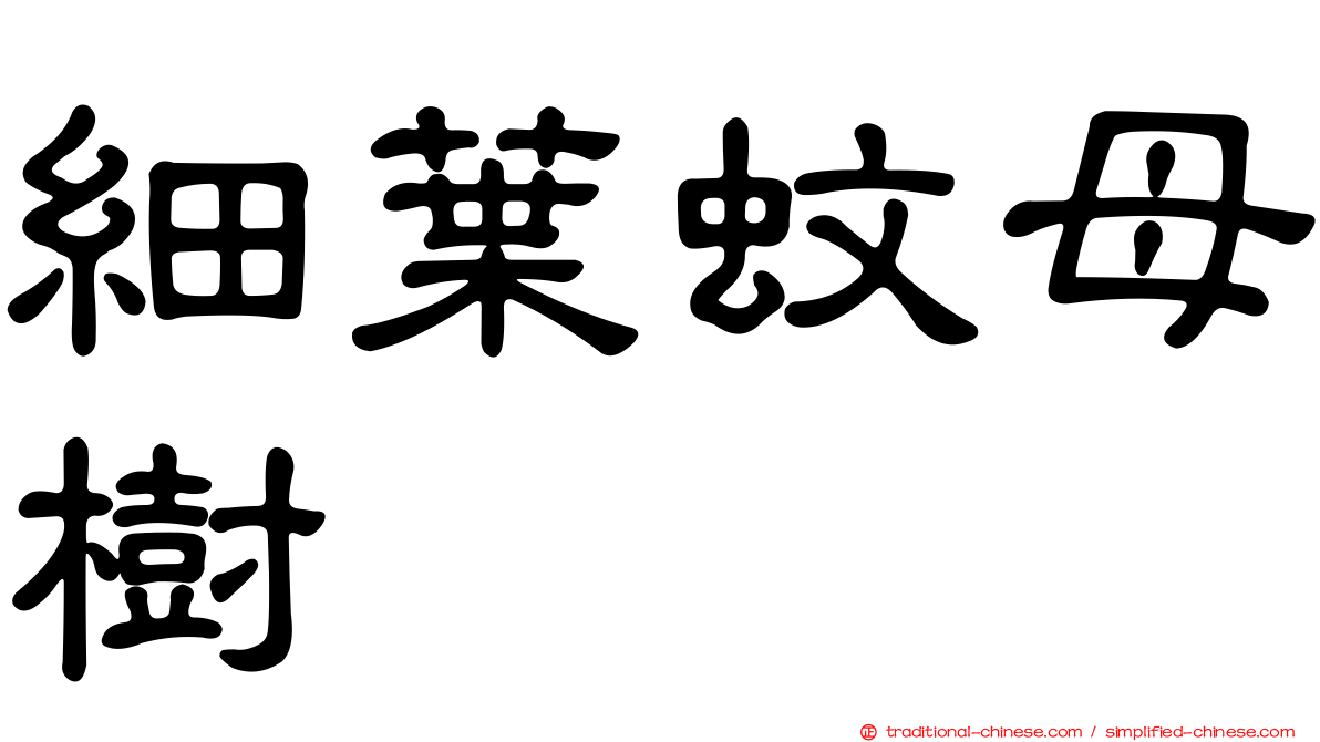 細葉蚊母樹