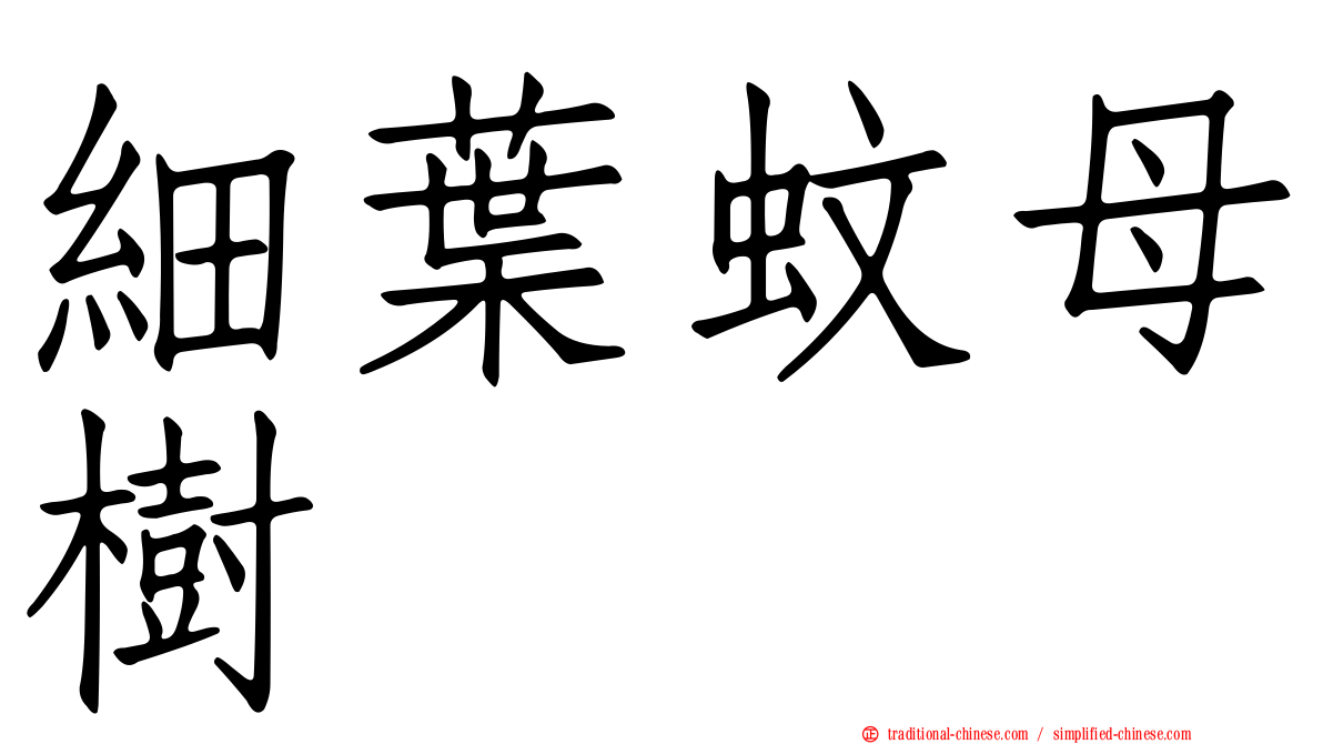 細葉蚊母樹
