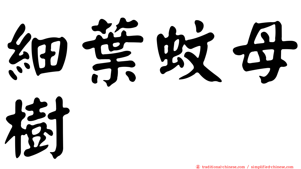 細葉蚊母樹