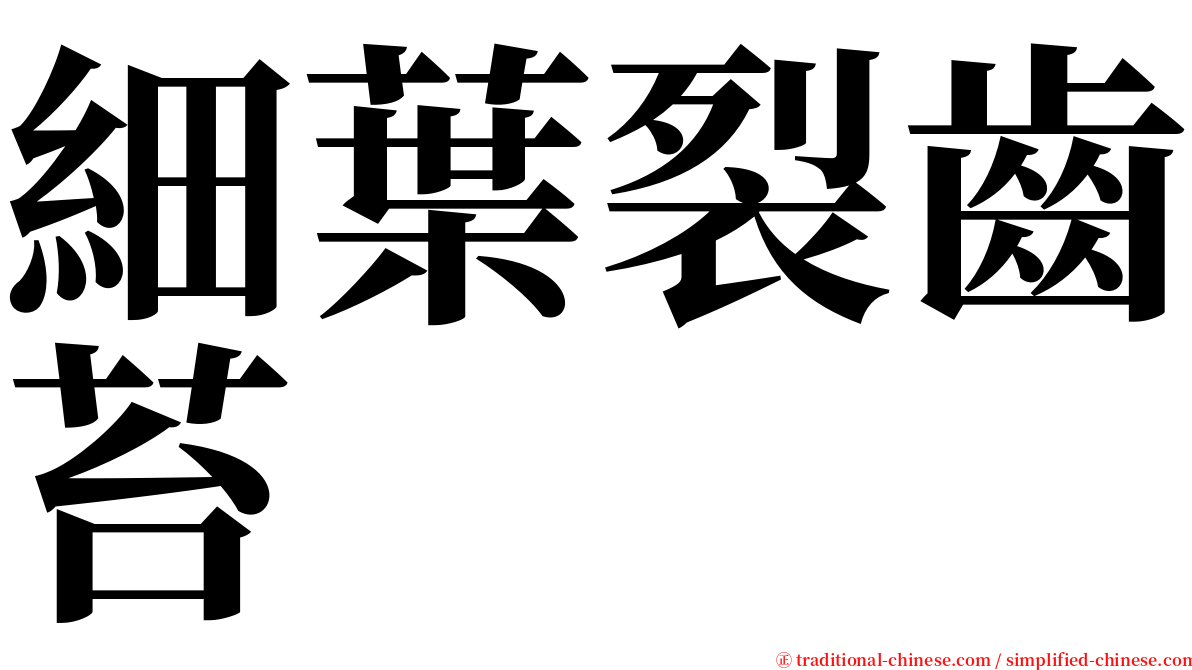 細葉裂齒苔 serif font