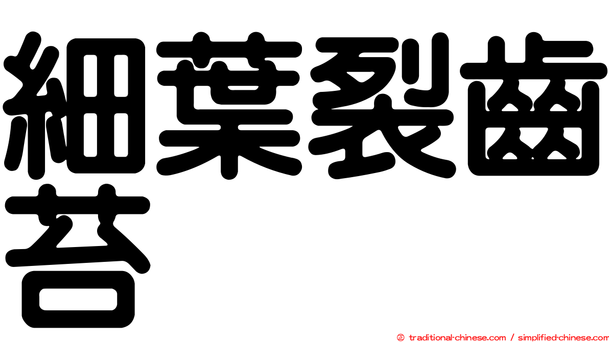 細葉裂齒苔