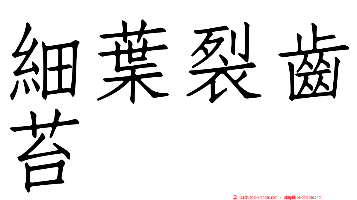 細葉裂齒苔
