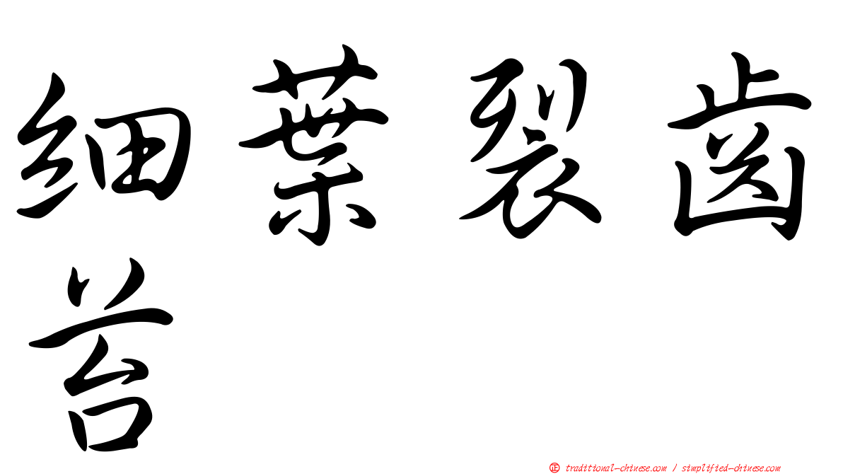 細葉裂齒苔