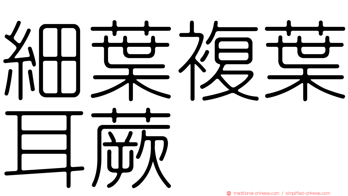 細葉複葉耳蕨