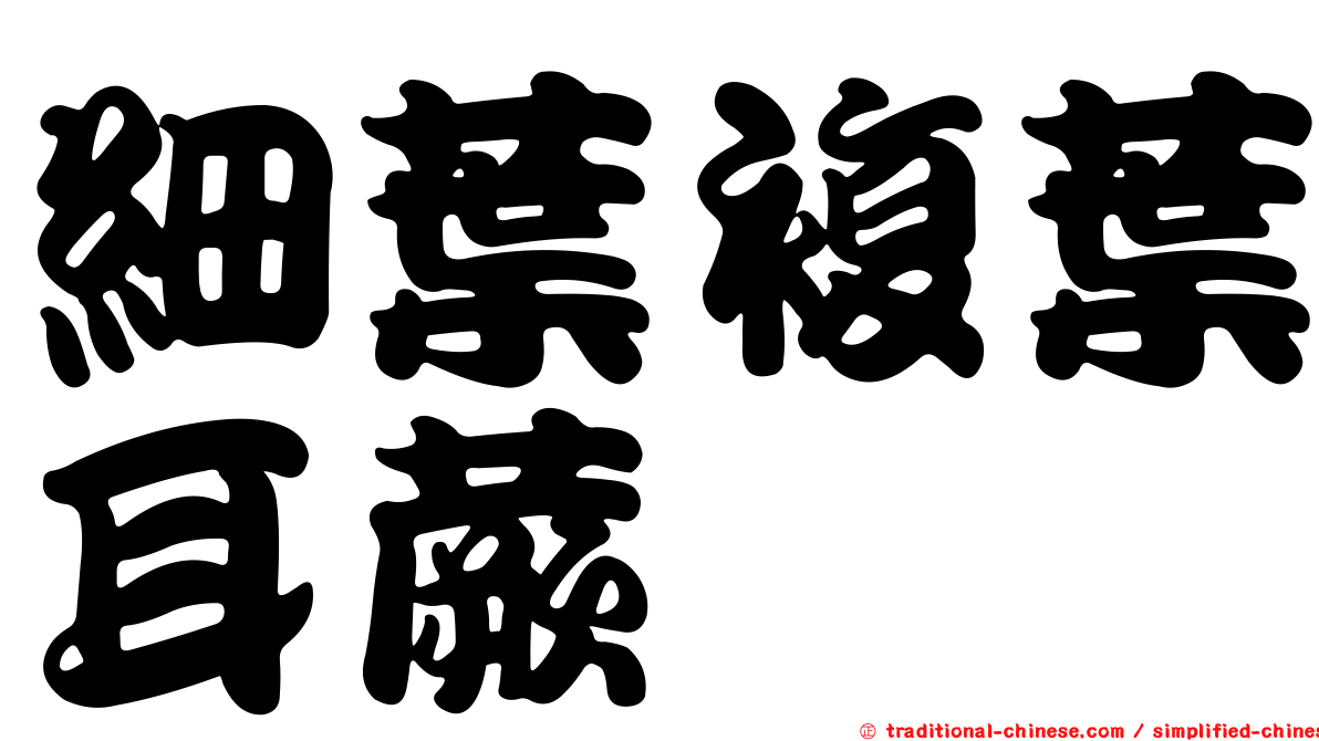 細葉複葉耳蕨