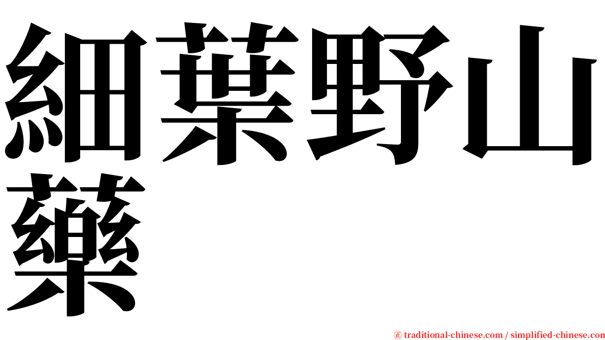 細葉野山藥 serif font