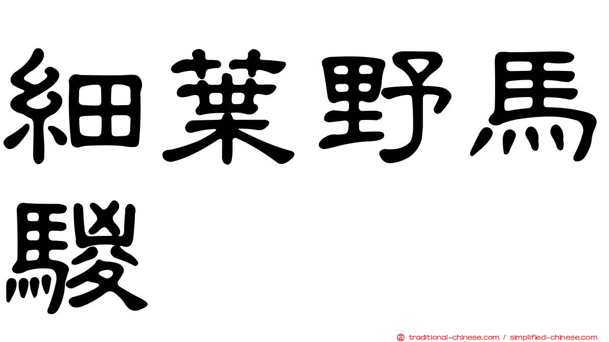 細葉野馬騣
