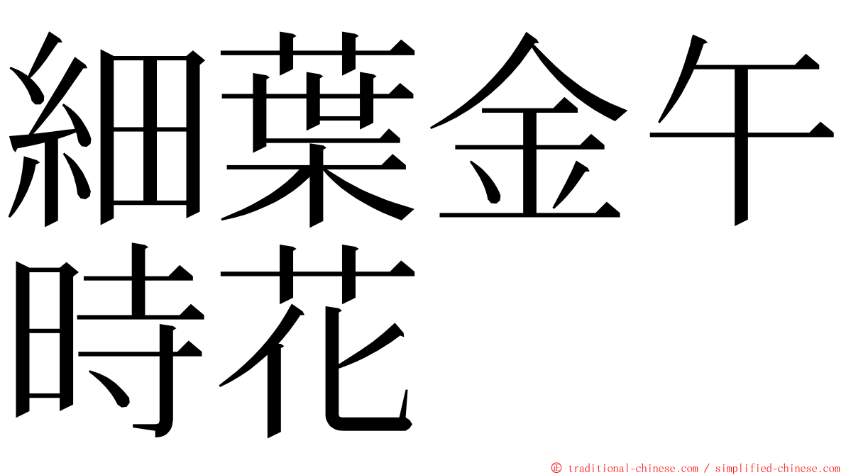 細葉金午時花 ming font