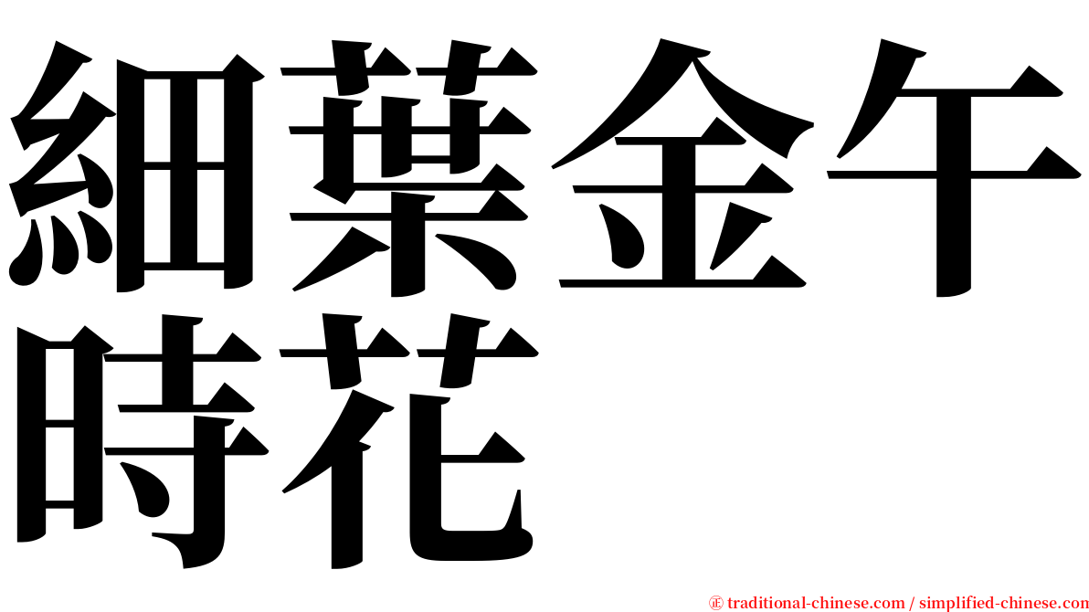細葉金午時花 serif font