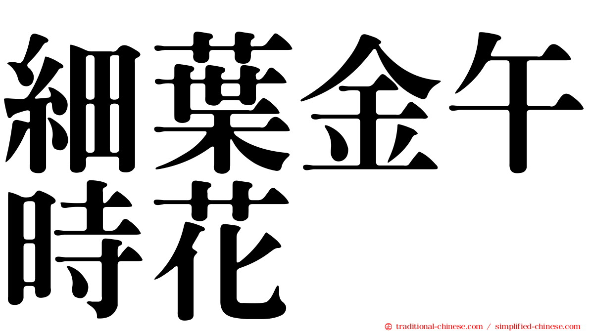 細葉金午時花