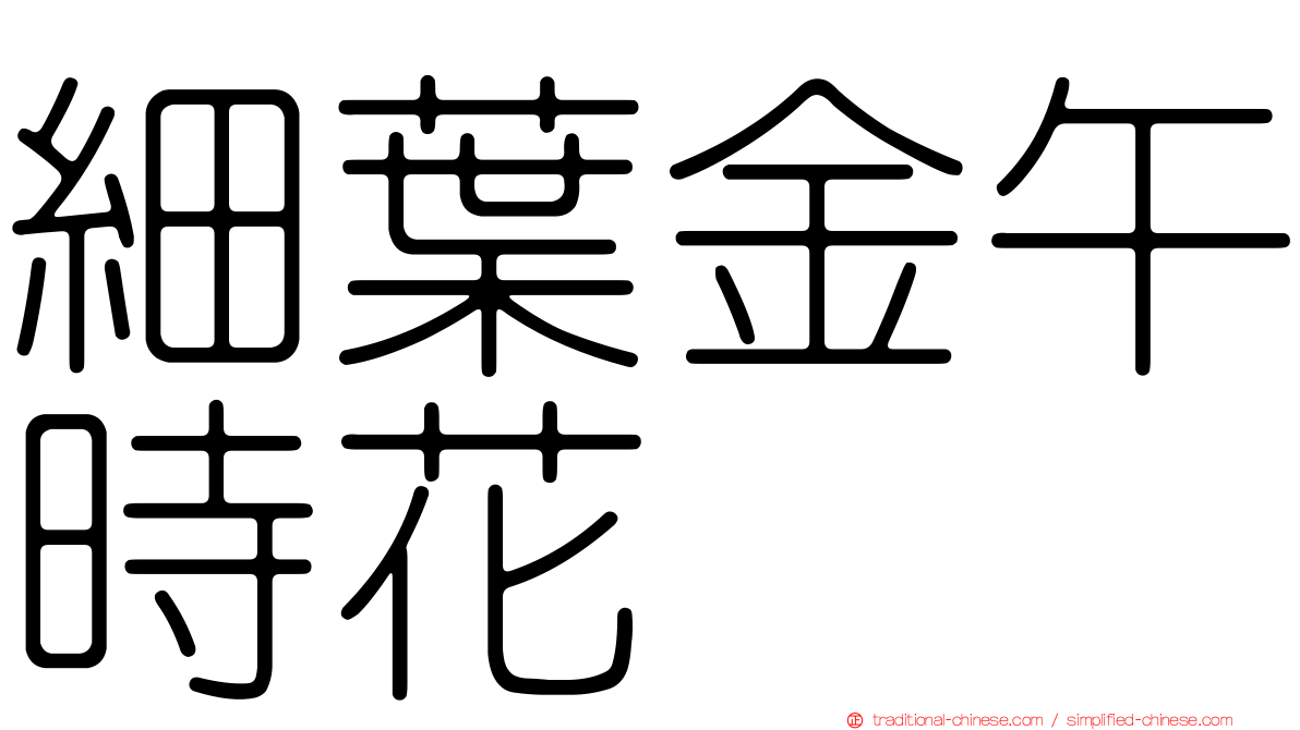 細葉金午時花