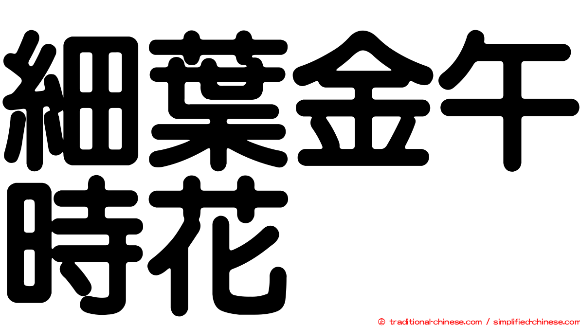 細葉金午時花