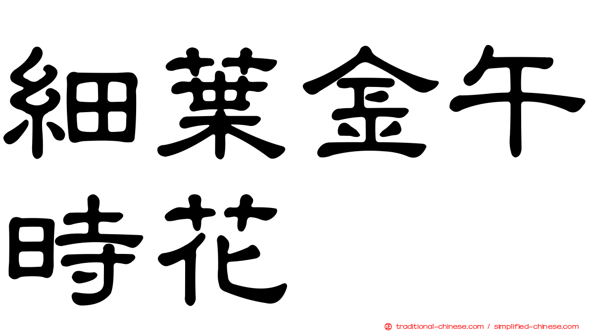 細葉金午時花