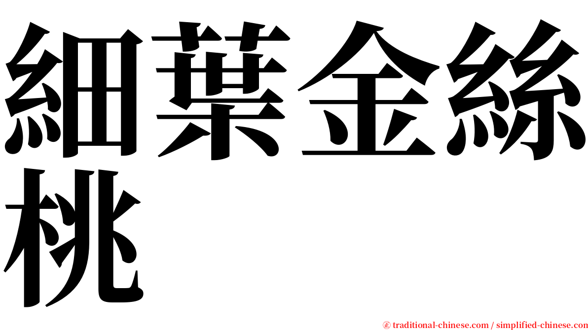 細葉金絲桃 serif font