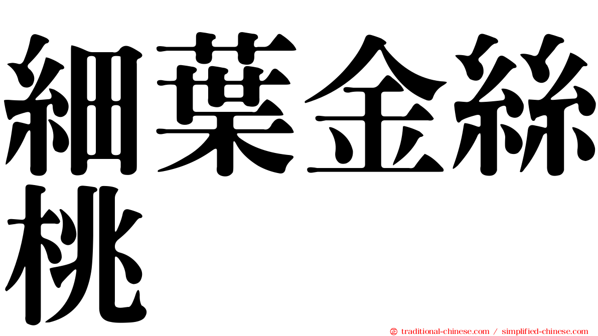 細葉金絲桃
