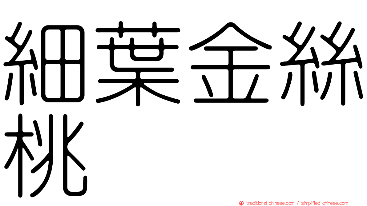 細葉金絲桃