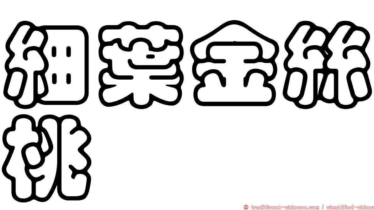 細葉金絲桃
