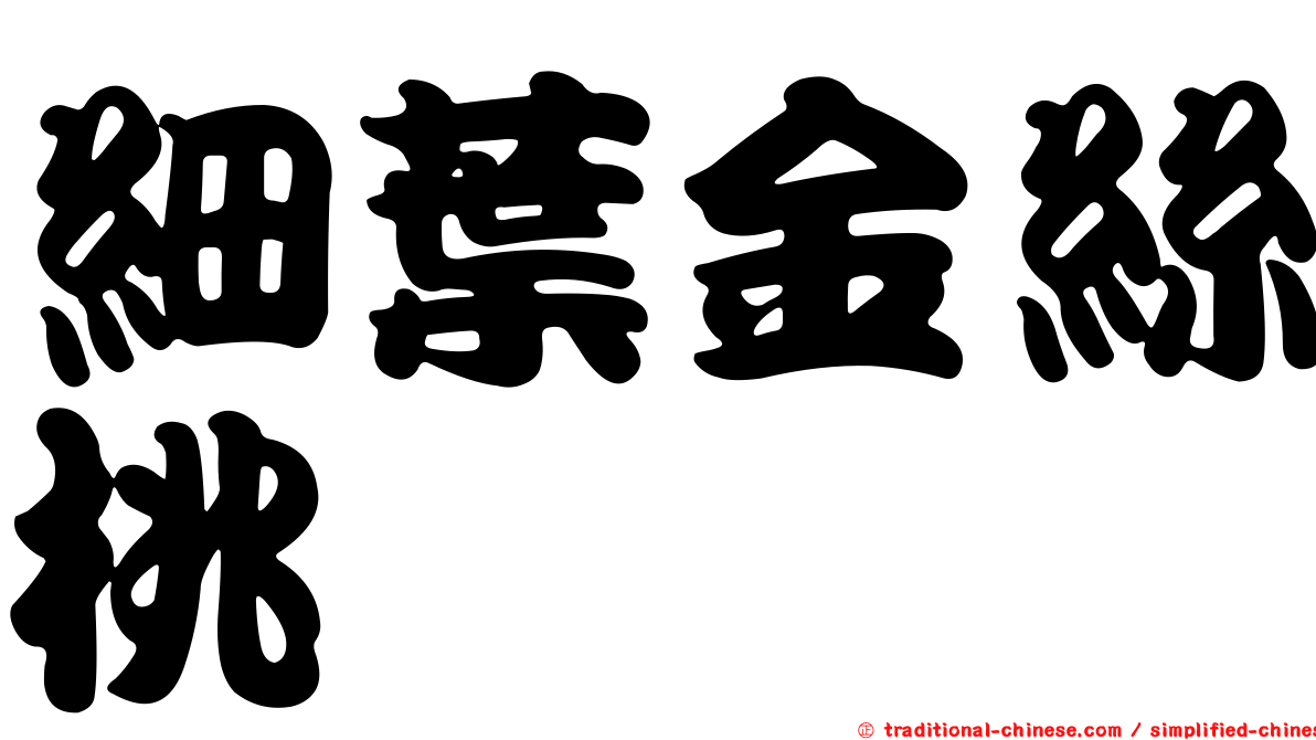 細葉金絲桃
