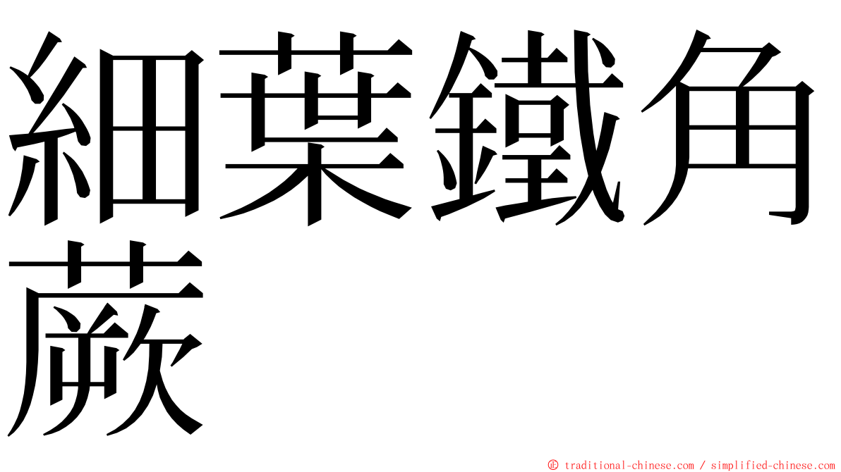 細葉鐵角蕨 ming font