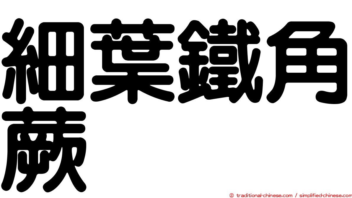 細葉鐵角蕨