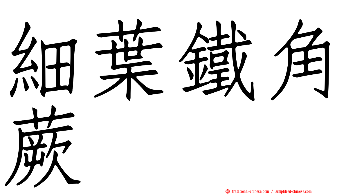 細葉鐵角蕨