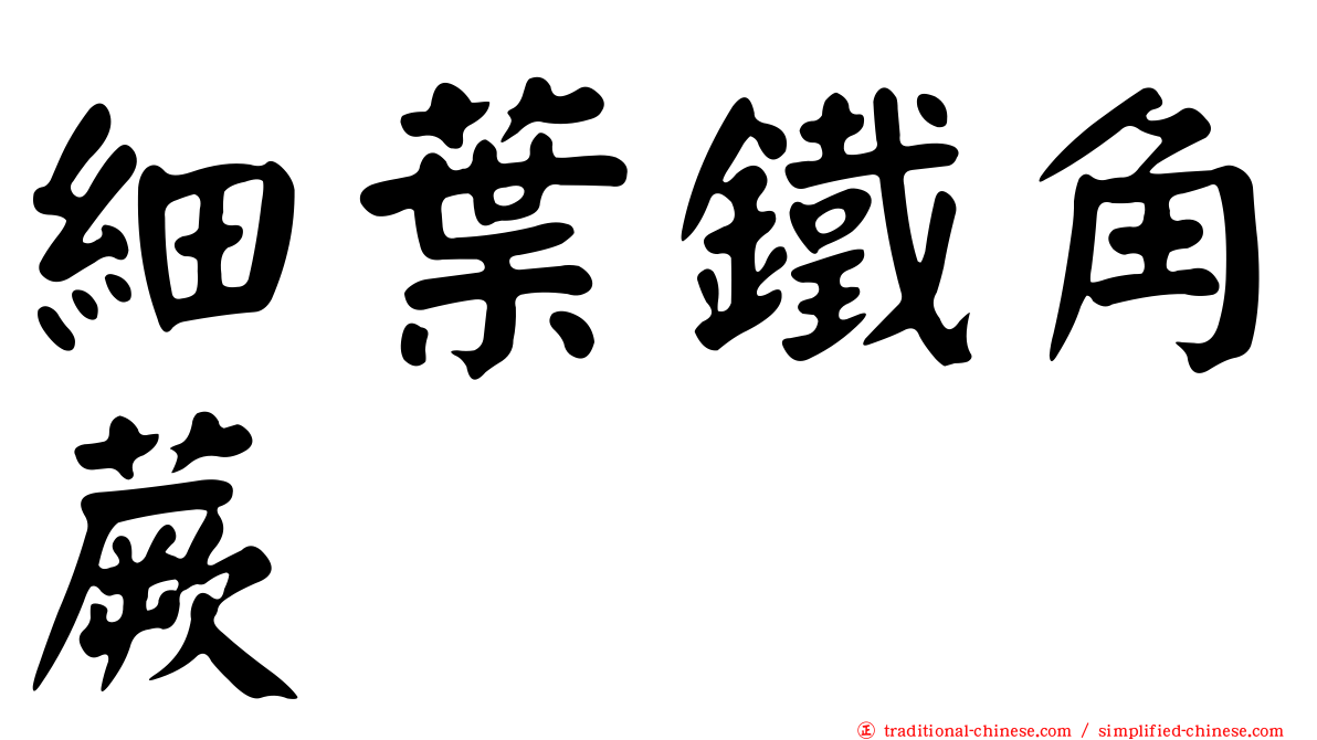 細葉鐵角蕨