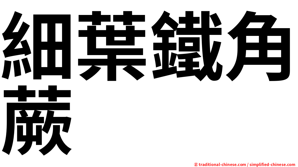 細葉鐵角蕨