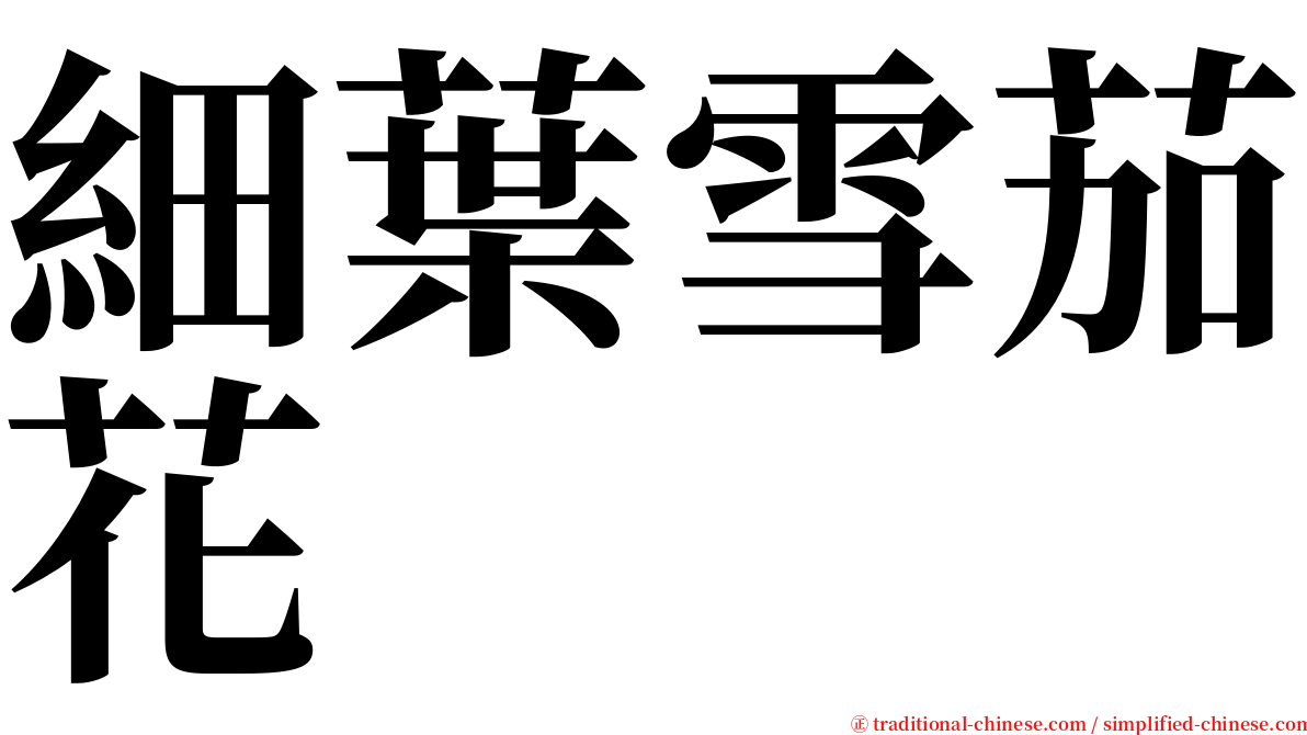 細葉雪茄花 serif font